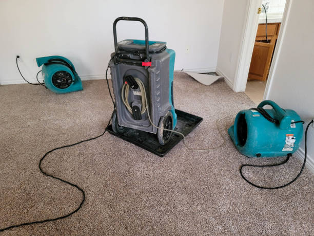 Best Residential water damage restoration  in Dunlap, IA