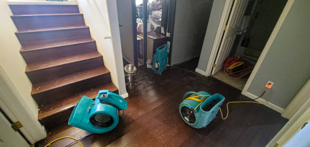 Best Ceiling water damage repair  in Dunlap, IA