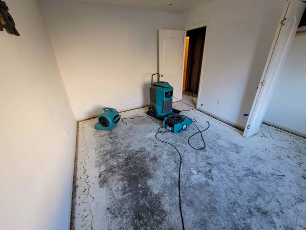  Dunlap, IA Water damage restoration Pros