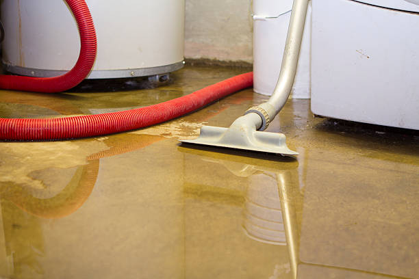 Best Flooded house restoration  in Dunlap, IA