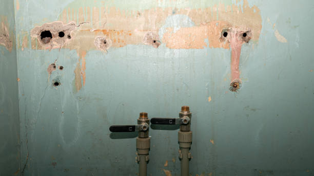 Best Sewage cleanup and water damage restoration  in Dunlap, IA