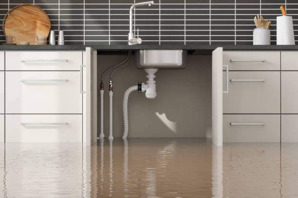 Carpet water damage restoration in Dunlap, IA