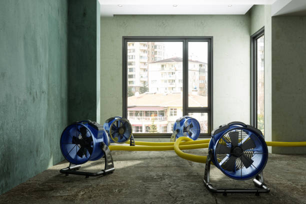 Best Water damage restoration mold remediation  in Dunlap, IA